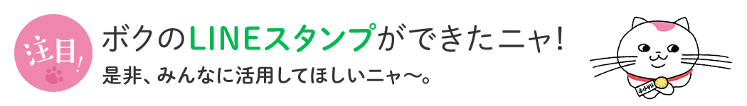 ボクのLINEスタンプができたニャ！是非、みんなに活用してほしいニャ～。