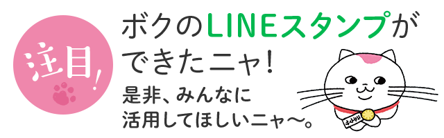 ボクのLINEスタンプができたニャ！是非、みんなに活用してほしいニャ～。